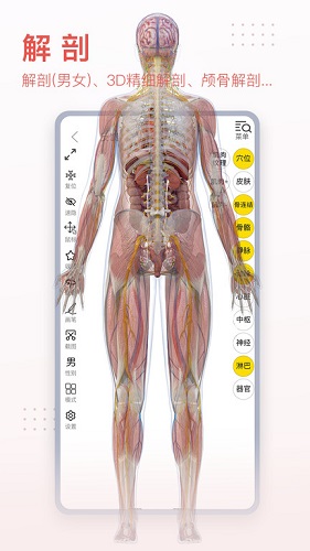 3dbodyͼƽ